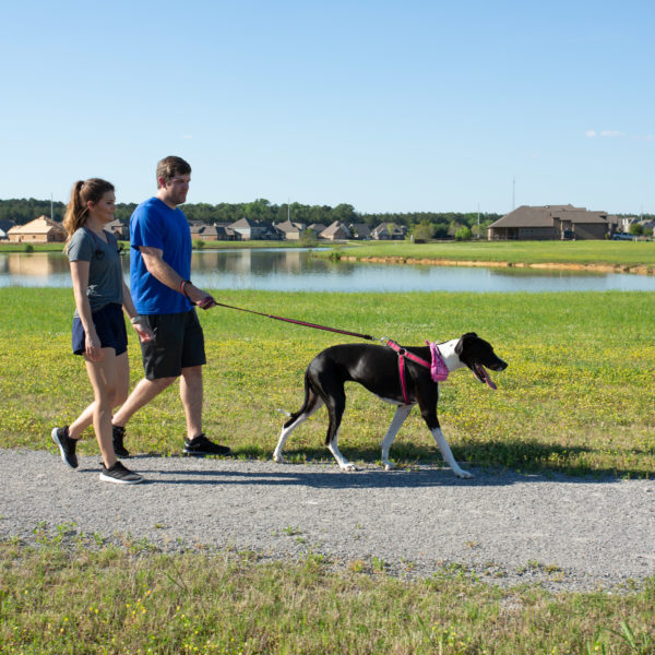 community amenities | New Park