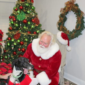 A dog with Santa | New Park