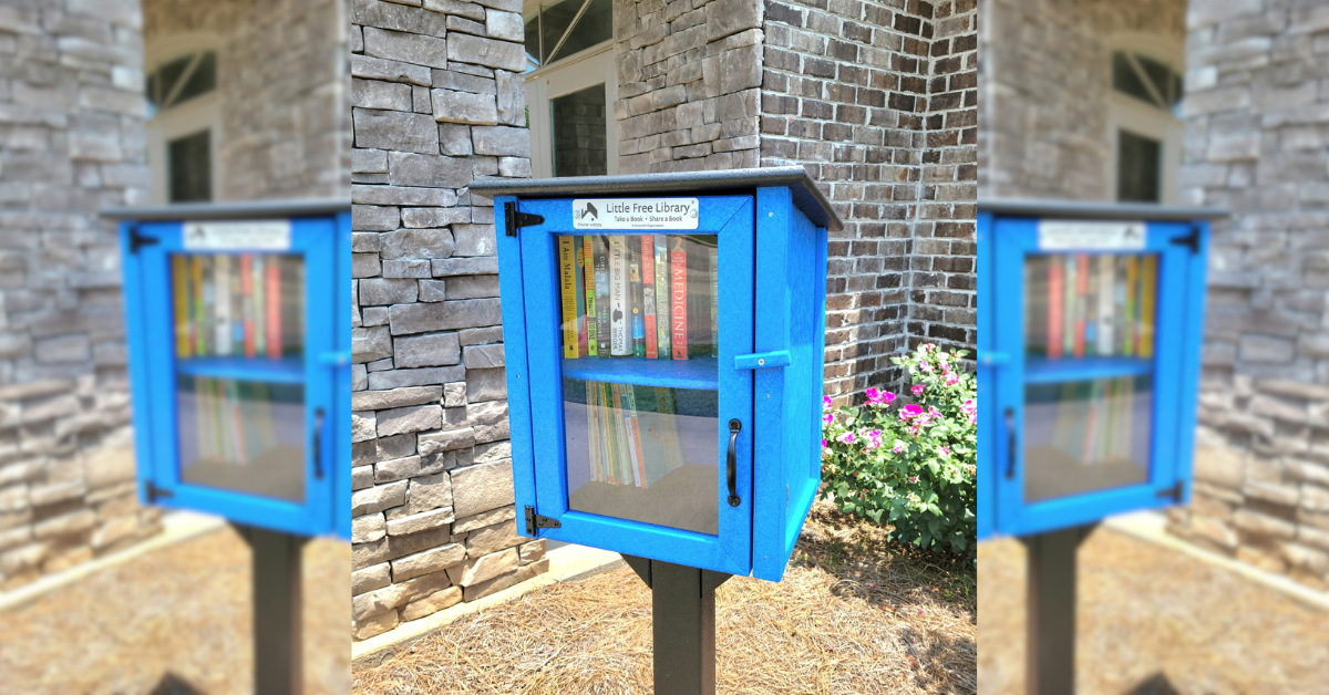 new park little free library 